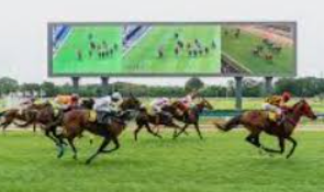 เทคนิคดูสถิติม้า ufabet สำหรับนักเดิมพันที่อยากทำกำไรอย่างยั่งยืน