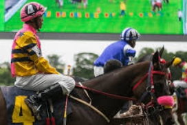 เดิมพันม้าเต็ง ufabet ศาสตร์การเดิมพันที่ต้องอาศัยทั้งข้อมูลและความมั่นใจ